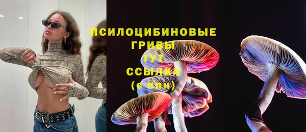 стаф Алексеевка